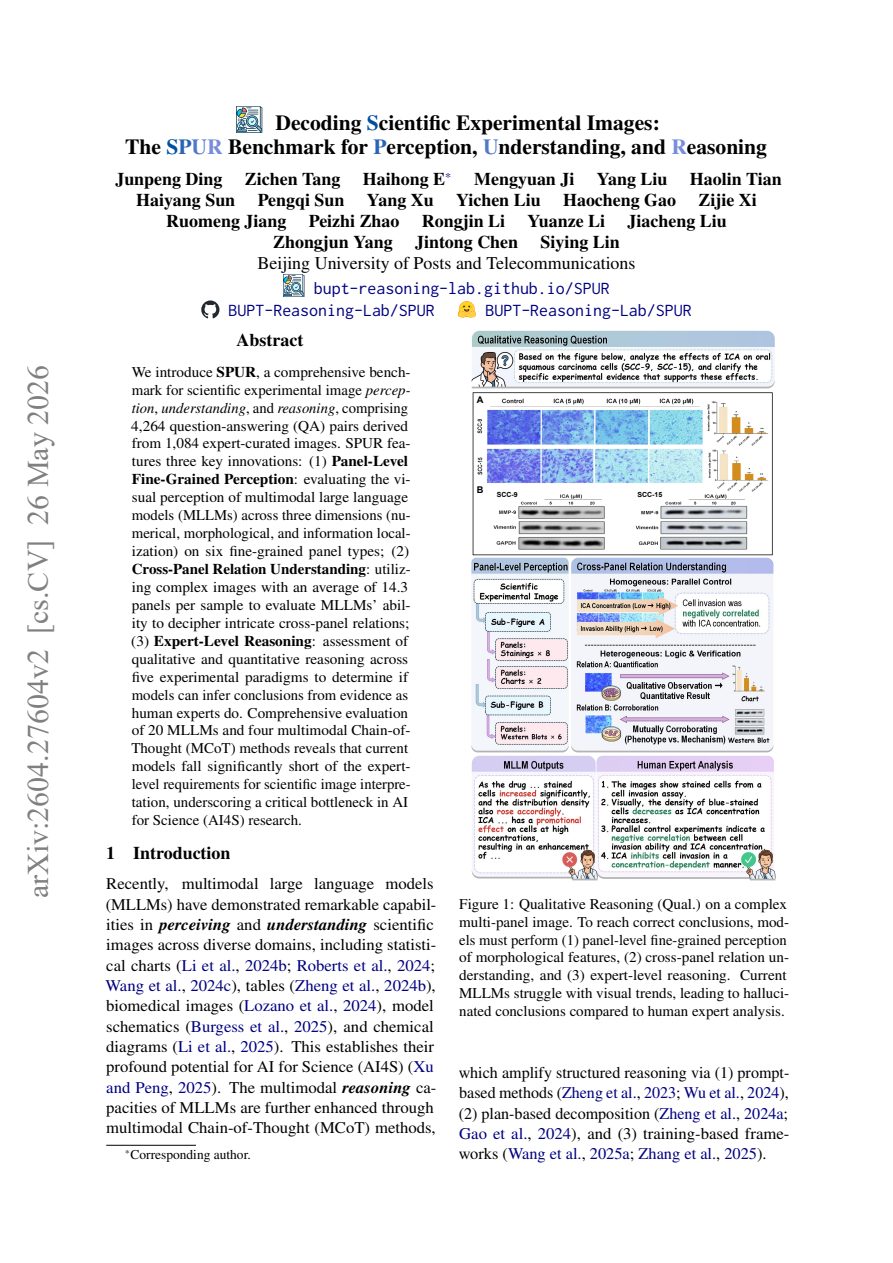 Decoding Scientific Experimental Images: The SPUR Benchmark for Perception, Understanding, and Reasoning 论文首页